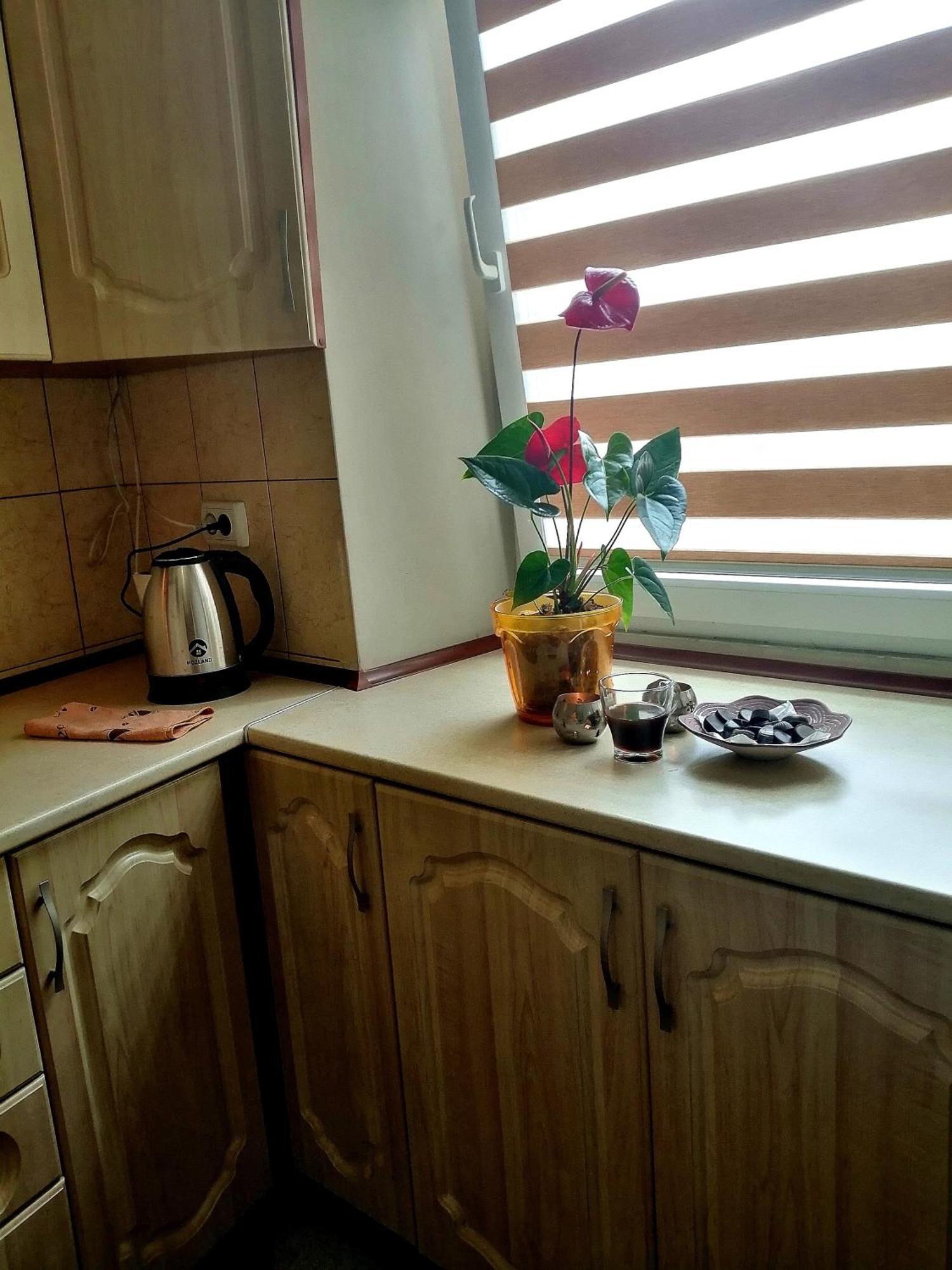 Flat On Sheptytskykh Apartment Lviv Exterior photo